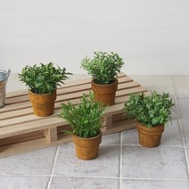 바보사랑 초록 미니허브조화화분(4p set).인테홀릭