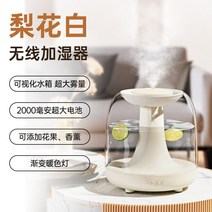 가열식가습기 웰포트 가열식 가습기 휴대용 무음 침실, D