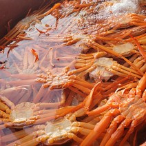 동해안 구륭포 B급 자숙연지홍게 3KG 10-13미 (수율 40~60%)