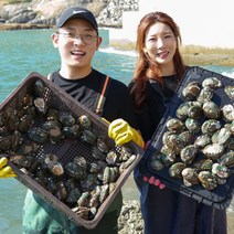[산지직송] 완도 활 전복 산지직송 가정용 선물용 7미~60미 1kg, 13~15미, 포장안함