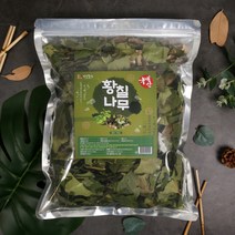 건강중심 국내산 말린 황칠나무 잎 가지 500g, 1개입