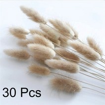 들라이 플라워 건조 말린꽃 조화 30pcs 천연 말린 꽃 보헤미안 솜털 흰 억새 풀 작은 갈대 말린 꽃 말린 꽃 웨딩 꽃 장식, 30개의 줄기, 1-약 55cm(꽃병 없음)
