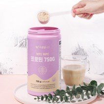 김민경 단백질 푸름웰니스 WPI WPC 프로틴 750g, 2통