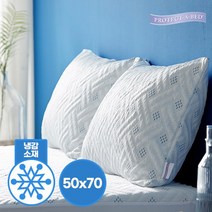 프로텍트어베드 쿨스테이 냉감 베개커버 50x70