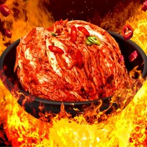 핫땡김치 1kg 국산 맛있는 매운 배추김치 총각김치 식자재마트 배추가격 겉절이 김장김치양념 봄동겉절이 깍두기 고랭지절임배추 알타리김치 김치전 김치볶음 [WB679A0], 쿠팡 1, 쿠팡 본상품선택