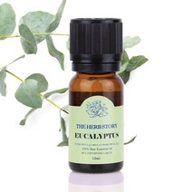 유칼립투스 아로마테라피 마사지 에센셜 오일 12ml - 2022975EA, 쿠팡 1, 쿠팡 본상품선택