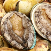 [100%자연산] 전라남도 완도 전복 1KG 선물세트, 프리미엄 8~9미 1kg