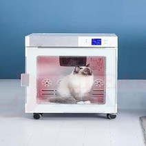 강아지드라이룸 드라이룸 펫드라이룸 작은 동물 헤어 자동 사일런트 개 애완 가게 미용 전용 건조 목욕 케어, 1.A