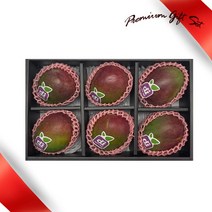 [팜쿡] 프리미엄 선물세트 애플망고6과, 단품