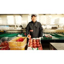 꿀담은 고당도 17brix 예산 사과 부사 5kg 10kg 못난이 알사과, 특중급 5kg(14과~16과)