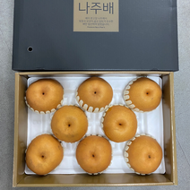 나주배 신고 선물세트 5kg 7.5kg 15kg, 5kg 가정용(5~7과), 1박스