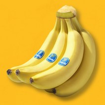 [수입바나나] 에어캡 개별포장 고당도 치키타 수입 바나나