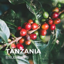 [커피생두] 탄자니아 음베야 B 10kg