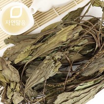 자연닮음 국산 차전초 질경이 200g