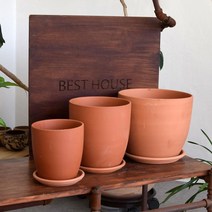 군생다육이 블루엘프 분갈이화분 통풍원활 염자 예쁜식물 물주기 홈가드닝 경미인