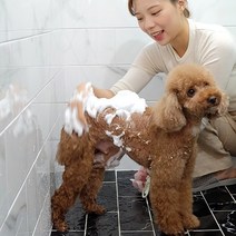 강아지비누 고양이샴푸 천연비누 천연샴푸 애견비누 10종, 산양유(어린강아지용/노견용)