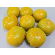 창원 단감 (대과) 3kg 5kg 10kg, 42개(내외), (대)10kg