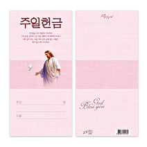 하늘창고몰 헌금봉투 진흥 세로형 봉투1속100매 봉투, 100매입, 주일-3229
