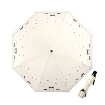 피에르가르뎅 나비야 완전 자동 우산