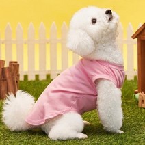 데일리 민소매 패션코디 나시티셔츠 애견노령 소형견, 하늘색_S