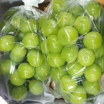 고당도 샤인머스켓 경북 김천 영천 씨없는 망고포도 고품질 4kg 3~4수