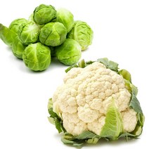 건강의정석 제주 방울양배추 1kg + 콜리플라워 특품 1kg 세트, 2) 제주 방울양배추 2kg ＋ 콜리플라워 2kg
