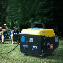 휴대용 소형 가솔린 발전기 가정용 소형 야외 소형 발전기 750W 220V, [01]