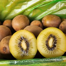 국내산고성키위 고성키위 골드키위 과일키위, 2.5kg(24개 내외)
