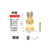 LED 무드등 취침 수면등 식탁 불명무드등 곰돌이 수유등 미피 토끼램프, 50cm화이트레이+칠색광