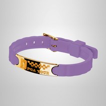 PGA TOUR 티타늄건강팔찌 스포츠실리콘밴드, 02_티타늄골드_바이올렛