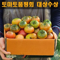 품평회 대상 받은 대저 짭짤이 토마토 2.5kg 로얄과 짭짜리 짭잘이 산지직송 (6시내고향짭짤이토마토), 짭짤이토마토 (프리미엄로얄과 S)