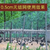 양계망 울타리망 과수원 닭망 새망 능형망 휀스, 0.5 cm 메쉬 폭 1.5 m 길이 10 m