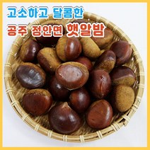 국산 공주 정안 알밤 2kg 특대, [칼집X]공주 정안 알밤(특대)2kg, 1개
