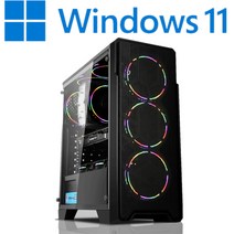 [왕가PC]WGCP 윈도우11 탑재 데스크탑 3D게임용 배그 풀옵션 게이밍 조립컴퓨터 롤 오버워치2 로스트아크 국민옵션부터 풀옵션 조립PC, 04. HDD 1TB 추가, 게이밍 19