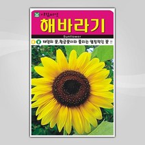 슬로시 꽃 씨앗 모음 꽃씨 허브 허브씨, 해바라기50립(아람)