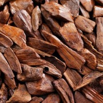 몰드몰 ( 프래그런스오일 ) 시더우드 Cedarwood, [ 100ml ]