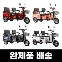 어르신 노인전동차 삼륜 세발 전기 오토바이 스쿠터 2인승, 로즈골드, 48V20A리튬배터리(운행거리20km)