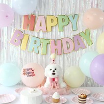 강아지 생일파티 세트, 소형, 고깔 화환set, 핑크
