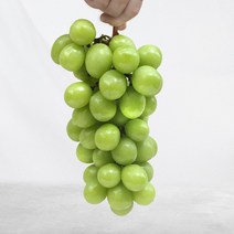[이베따] 껍질째 먹는 청포도 샤인머스캣 (망고포도) 2kg 4kg, 1박스, 샤인머스캣 2kg(4수)