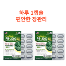 대장 도달 민감성 과민성 대장 유래 예민한 유산균 잦은 방귀 RGG, 2개월