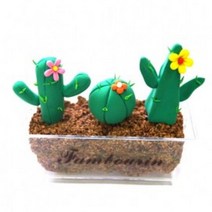 믿음_ Pz_W4E4395 선인장이 있는 풍경 -만들기10인 세트 만들기 미술 재료 공작 공예