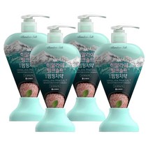 히말라야 핑크솔트 펌핑치약 285g 4개 아이스카밍민트, 히말라야 핑크솔트 펌핑치약 285, 상세내용참조