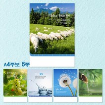 예닮 여름주보 5종 교회주보 주보용지 디자인주보 기성주보 도안 자료집 칼라 복사용지 주보 인쇄 제작 교회용품 A4주보, 1세트