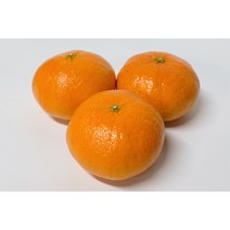 고당도 산지직송 제철 제주 레드향 명절세트 3kg 5kg 10kg, 선물용 박스포함 5kg(15~30), 1개