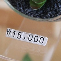 프라이스칩 7mm 투명/검정