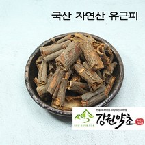 국산 자연산 유근피 300g 유근피 즙 느릅나무 뿌리 껍질 느릅나무 유근피 작두콩 유근피분말, 유근피300g