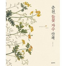 춘천 들꽃 자수 산책 : 산과 들을 걷고 수놓다