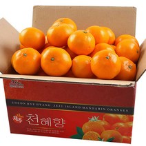 제주직송 천혜향 과일 선물세트, 3kg(특)대과, 1box