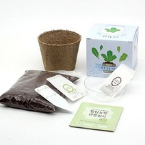 오너클랜 틔움세상 화분재배키트 팜팜농장시리즈 모종 키우기_W9DD195, 유니콘 옥수수