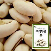 마이플랜트 백작두콩 씨앗 채소재배 베란다 텃밭